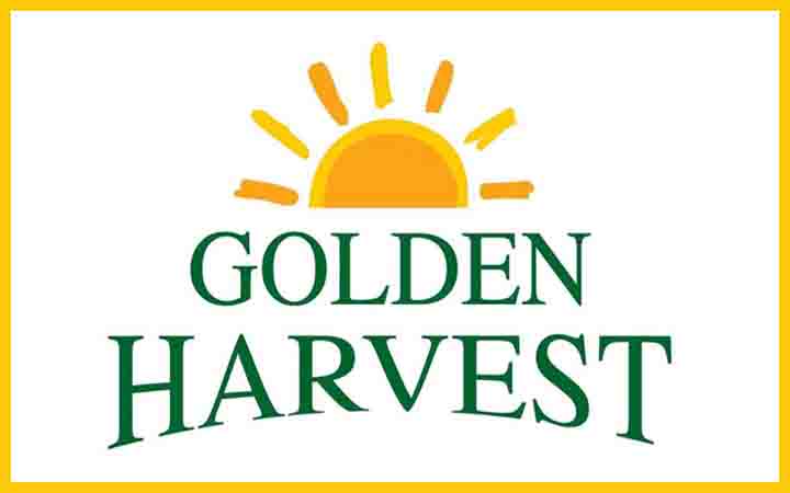 নিয়োগ দেবে গোল্ডেন হারভেস্ট কোম্পানী